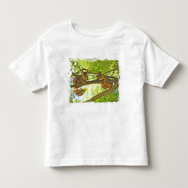 Camiseta Infantil Squirrels o t-shirt da criança de observação (Frente)