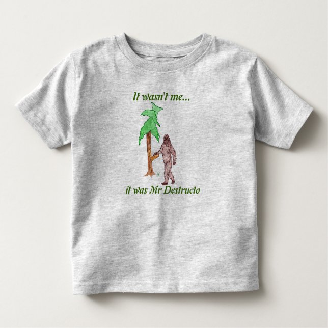 Camiseta Infantil Sr. Destructo T-shirt (Frente)