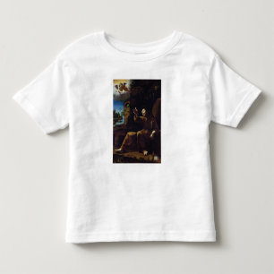 Camiseta Infantil St Francis de Assisi consolou por um anjo