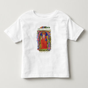Camiseta Infantil St Jerome