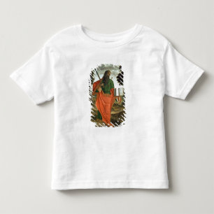 Camiseta Infantil St Paul, 1520 (óleo no painel)