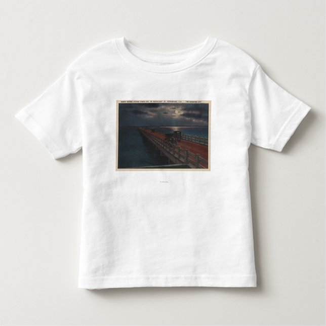 Camiseta Infantil St Petersburg, FL - vista enluarada de Gandy (Frente)