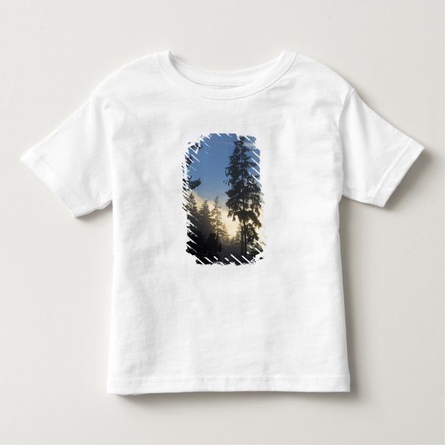 Camiseta Infantil Stanley Park, floresta, nevoeiro da camada marinha (Frente)