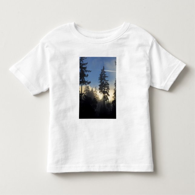 Camiseta Infantil Stanley Park, floresta, nevoeiro da camada marinha (Frente)