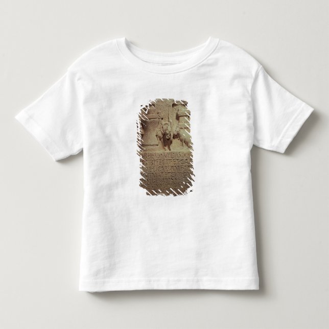 Camiseta Infantil Stele do moleiro Marcus Careius Asisa (Frente)