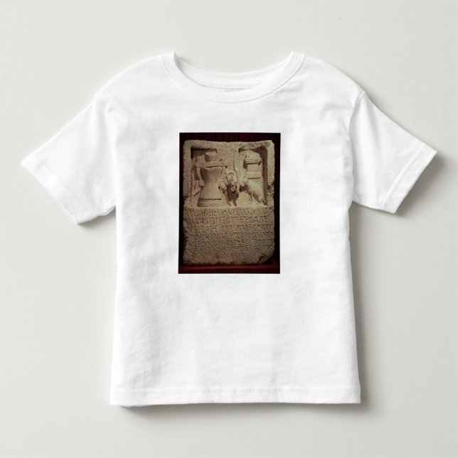 Camiseta Infantil Stele do moleiro Marcus Careius Asisa (Frente)