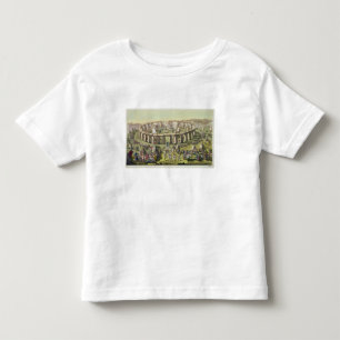 Camiseta Infantil Stonehenge, ou um templo circular dos Druids, pl