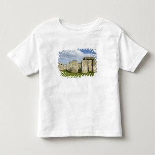 Camiseta Infantil Stonehenge (por volta de 2500 a.C.), Patrimônio Mu