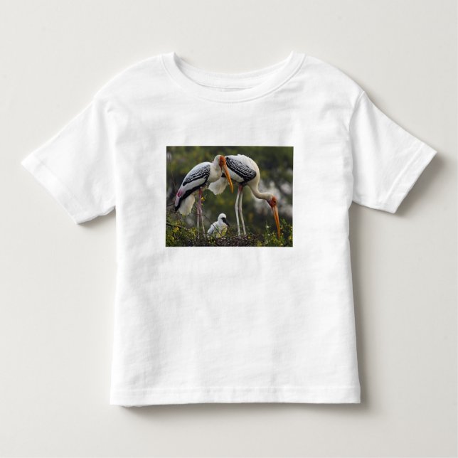 Camiseta Infantil Storks pintados e jovens no ninho,Keoladeo (Frente)