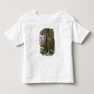 Camiseta Infantil Sub-crescimento, 1910