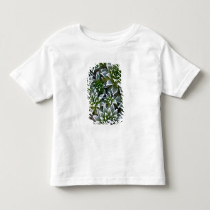 Camiseta Infantil Suculenta Hen & Chicks com geada no início
