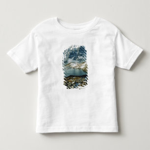 Camiseta Infantil Suíça, Grindelwald, Alpes Berneses, Vista