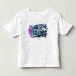 Camiseta Infantil Sul Namaqualândia, folhas de lírio enroladas. Créd