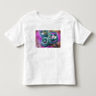 Camiseta Infantil Sul Namaqualândia, folhas de lírio enroladas. Créd