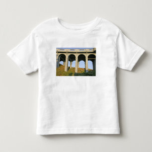 Camiseta Infantil Suportes em arco da Patterson Memorial Bridge
