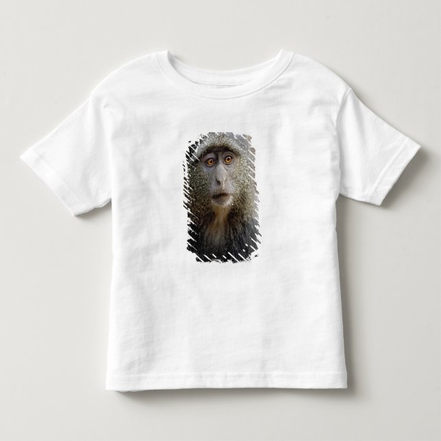Camiseta Infantil Sykes ou Macaco Azul, Cercopithecus mitis, (Frente)