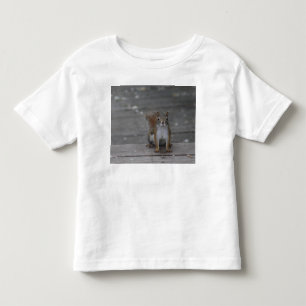 Camiseta Infantil T-shirt da criança do esquilo