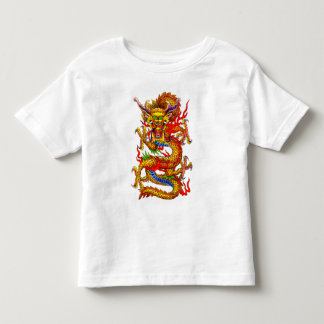 Camiseta Infantil T-shirt do dragão