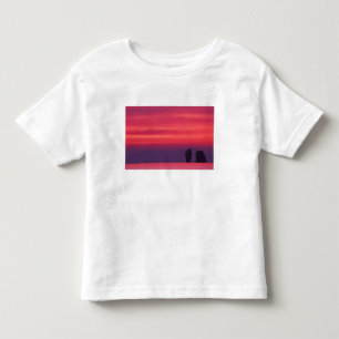 Camiseta Infantil Tailândia, Baía de Phang Nga. Céu rosa refletido e