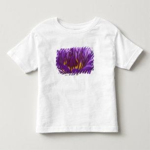 Camiseta Infantil Tailândia, Banguecoque, Lótus roxo e amarelo 2