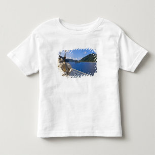 Camiseta Infantil Tailândia, Mar de Andaman. navio de recorte Star 