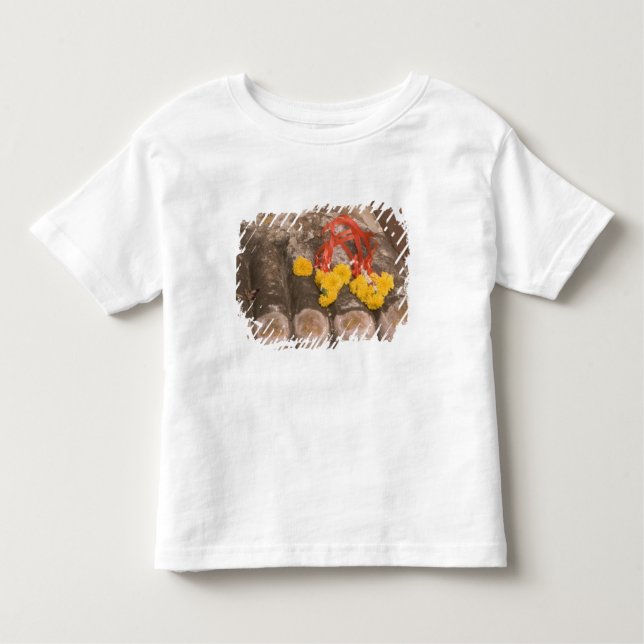 Camiseta Infantil Tailândia, pés de Buda e oferta de Marigold (Frente)