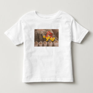 Camiseta Infantil Tailândia, pés de Buda e oferta de Marigold