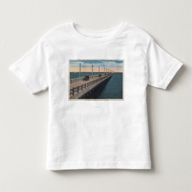 Camiseta Infantil Tampa, FloridaView de Gandy BridgeTampa, FL (Frente)