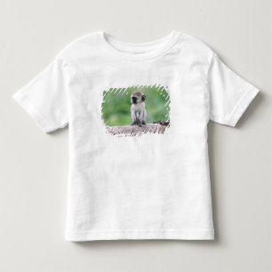 Camiseta Infantil Tanzânia, Cratera de Ngorogoro. Close-up de selvag
