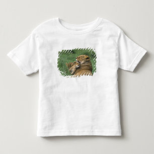 Camiseta Infantil Tanzânia, Cratera Ngorongoro. Mãe de leão africano