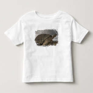 Camiseta Infantil Tartaruga Gigante de Galápagos Geochelone