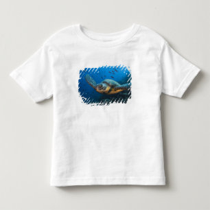 Camiseta Infantil Tartaruga Preta (Verde) (Chelonia agassizi)