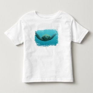 Camiseta Infantil Tartaruga Verde (Chelonia mydas agassisi), Central