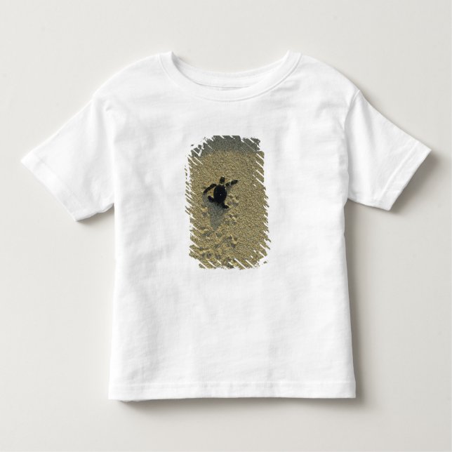 Camiseta Infantil Tartaruga Verde (Chelonia mydas), eclosão (Frente)
