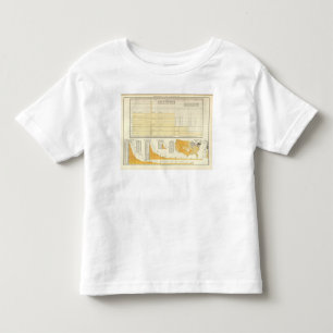 Camiseta Infantil Taxas e porte postal da letra