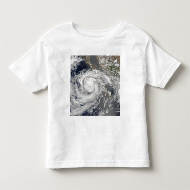 Camiseta Infantil Tempestade tropical Emilia (Frente)