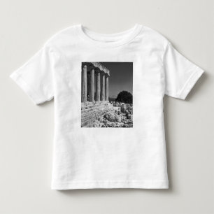 Camiseta Infantil Templo de Aphaea