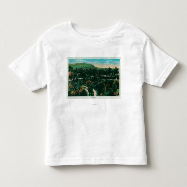Camiseta Infantil Terras de Seco do Arroyo em Pasadena, CA (Frente)