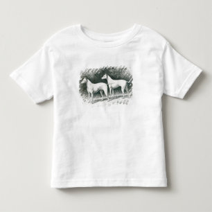 Camiseta Infantil Terrier de Branco Inglês do Sr. Vero Shaw