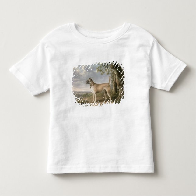 Camiseta Infantil Terrier em um trajeto em uma paisagem arborizada (Frente)