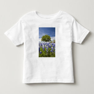 Camiseta Infantil Texas bluebonnets(lupinus texensis) e carvalho