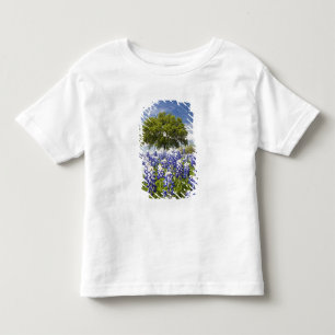 Camiseta Infantil Texas bluebonnets(lupinus texensis) e carvalho