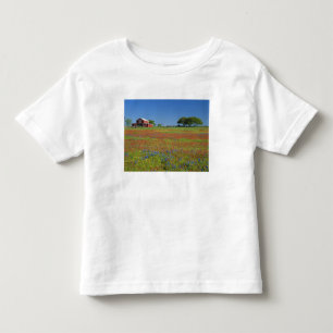 Camiseta Infantil Texas, Texas Hill Country, pincel texano