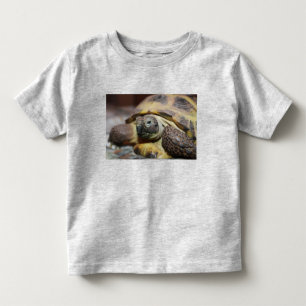 Camiseta Infantil Tibbs