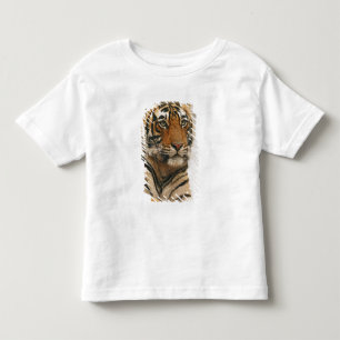 Camiseta Infantil Tigre-de-bengala-real sobre a rocha, Ranthambhor