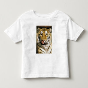 Camiseta Infantil Tigre Zoológico de Michigan