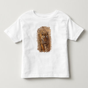 Camiseta Infantil Tigres de Bengala reais na pista, Ranthambhor