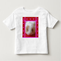 Toddler Guiné Pig Hearts T Shirt