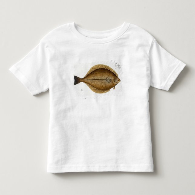 Camiseta Infantil Toque (a placa XLVI do Limanda do Pleuronectes) (Frente)