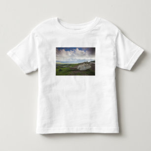 Camiseta Infantil Torre de tanque israelense aponta para Qunietra